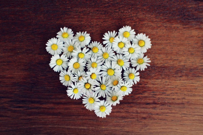 Heart Image